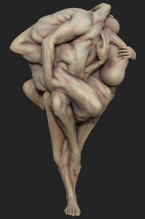 Weird Anatomy forms and textures